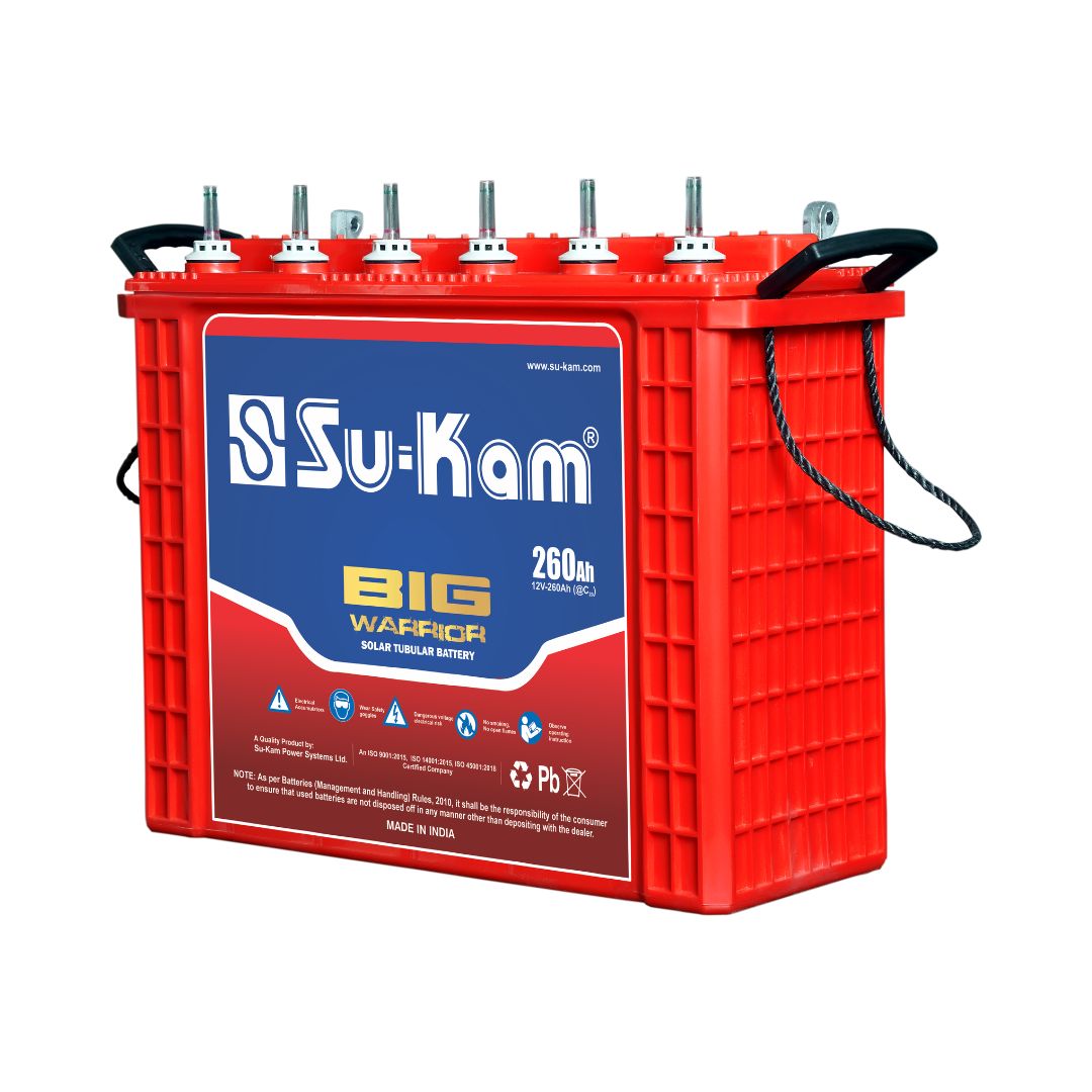 Big Warrior 260Ah